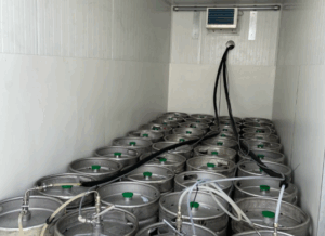 Koel vries aanhanger